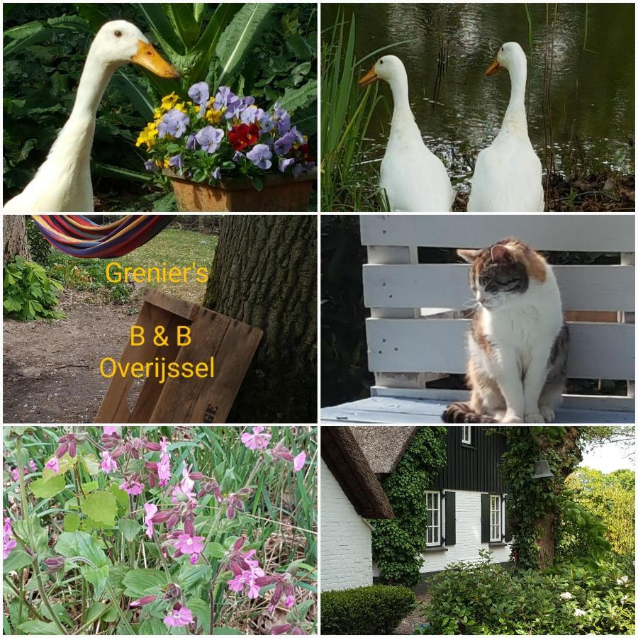 Punthorst Grenier'S Bed & Breakfast エクステリア 写真